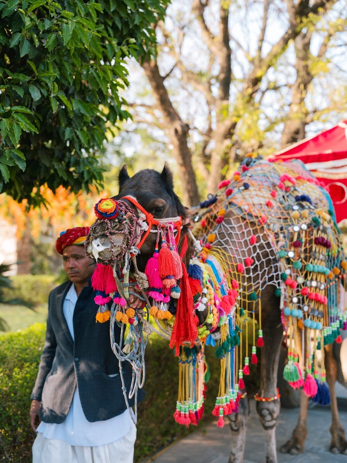 India wedding gallery